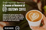 Embracing Spring: A Season Of Renewal At Dogtown Coffee