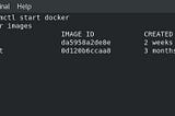 Configuring HTTPD Server and Python Interpreter inside Docker Container