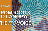 Tribal Leadership Is Ready to Breathe New Life into Managing Old-Growth Forests