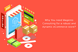 How can Magento Consultation Help You Set up a Robust and Dynamic Online Store?