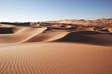 The Illusion In The Sand―The Real United Arab Emirates