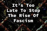 It’s Too Late To Stop The Rise Of Fascism