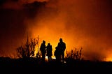 Your Community Wildfire Protection Plan (CWPP)