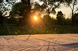 A serene outdoor scene during sunset. The sun is partially obscured by trees, creating a beautiful sunburst effect with rays of light spreading out. The foreground features a wooden surface, possibly a bench or table, with visible grain and texture. The background includes lush green grass and trees, with some people faintly visible in the distance, enjoying the park. The overall atmosphere is peaceful and warm, capturing the essence of a tranquil evening in nature.
