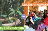 Social Innovation or Natural Coevolution?