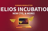 The Fortis team grows — and joins a Web 3 incubator!