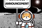 Weekly Update 7th October 2021 : BurnDoge Major Marketing Push In The Month Of October.