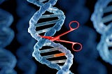What are the Ethical Concerns of Genome Editing?