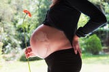 Exploring Pro-Life as a Progressive Stance