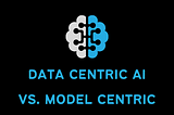 Data Centric AI Vs. Model Centric AI: How to take maximum advantage of both.