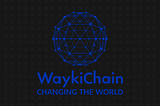WaykiChain WASM Virtual Machine Execution Module