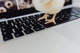 Baby chick standing on a laptop keyboard.