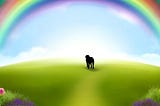 A dog heading to the rainbow bridge in the afterlife.