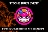 $Toshe Community burn event