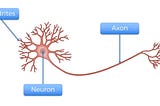 Deep Learning: Neuron