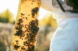 The Business of Bees.