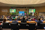 Summit of the Future Action Day: A Sustainable Future for All