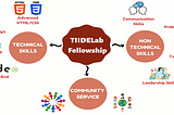 TIIDELab Fellowship Cohort 2: We Delivered….