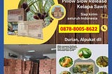 TERBUKTI, WA: 0878–8005–8622 Pupuk Untuk Durian Yang Sedang BerbungaTerpercaya Di Aceh Barat Daya…