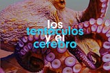 Los tentáculos y el cerebro