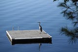 Lessons from the Heron