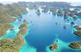 Teach on Earth appelle à la préservation des récifs coralliens en Papouasie