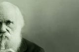 DARWIN’S BRAZILIAN FORESTRY POEMS