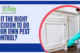 pest control