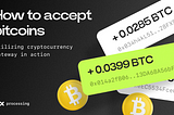 Bitcoin Payments Mastery: A Guide to BTC Gateway Integration and Secure Transactions