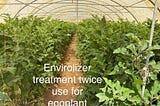 Can micronized calcite (envirolizer) help farmers, especially in saving water?