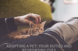 Pet Adoption Chronicles: Your Role in Your Fur Baby’s Life