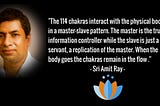 Amit Ray Quote — The 114 chakra Network is like a master-slave hierarchical pattern.