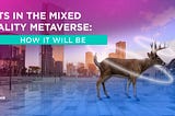 NFTs in the Mixed Reality Metaverse: How It will be