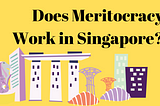 Does Meritocracy work in Singapore?