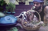 This is What Permaculture Teaches Us