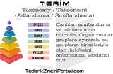 Taxonomy / Taksonomi (Adlandırma / Sınıflandırma)
