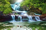 Mother Nature