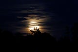 The full moon against a dark sky with the only light the glow of the moon lighting a tree in the foreground. I’m done with darkness