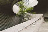 A spiral concrete staircase with a thin tree growing in the spiral and through an opening in the roof.