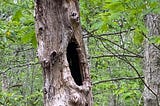 Trees, Possessed