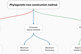 Phylogenetic Tree: Methods for Construction