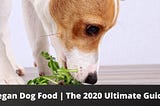 Vegan Dog Food | The 2020 Ultimate Guide