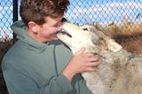 What It’s Like to Volunteer at a Wolf Sanctuary