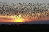 Defining decentralisation