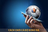 11 cách cá độ bóng đá không biết thua là gì !