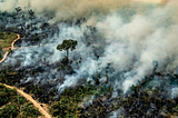 An Analysis of Amazonian Forest Fires