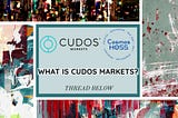 What is Cudos Markets?