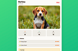 The top four vibe coding tools, tested with a seven-year-old