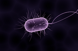 On the spot: Identifying common bacterial pathogens within hours