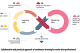 Collaborative and practical approach of continuous learning for senior tech professional